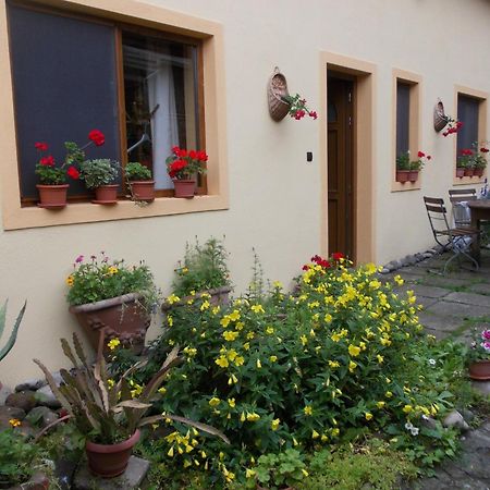 Hotel Casa Lia Sighișoara Zewnętrze zdjęcie