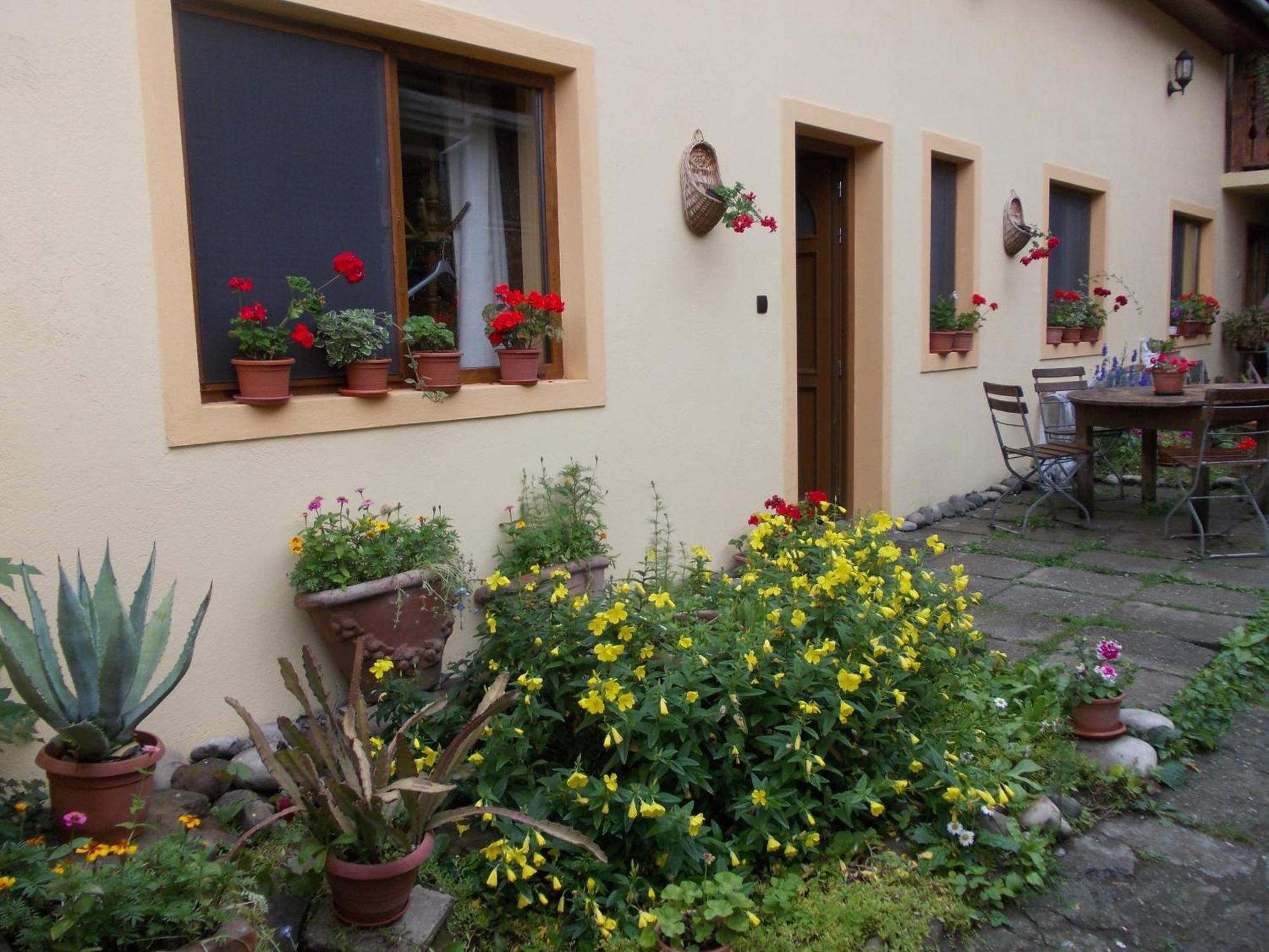 Hotel Casa Lia Sighișoara Zewnętrze zdjęcie